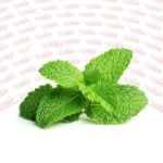 FRESH MINT LEAVES - 2 pcs