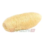 NATURAL RIDGE GOURD BODY SCRUBBER LOUFAH SPONGES FOR BATHING/PEERKANGAI NAAR/ÉPONGE EN FIBRE VÉGÉTALES - 1Pc