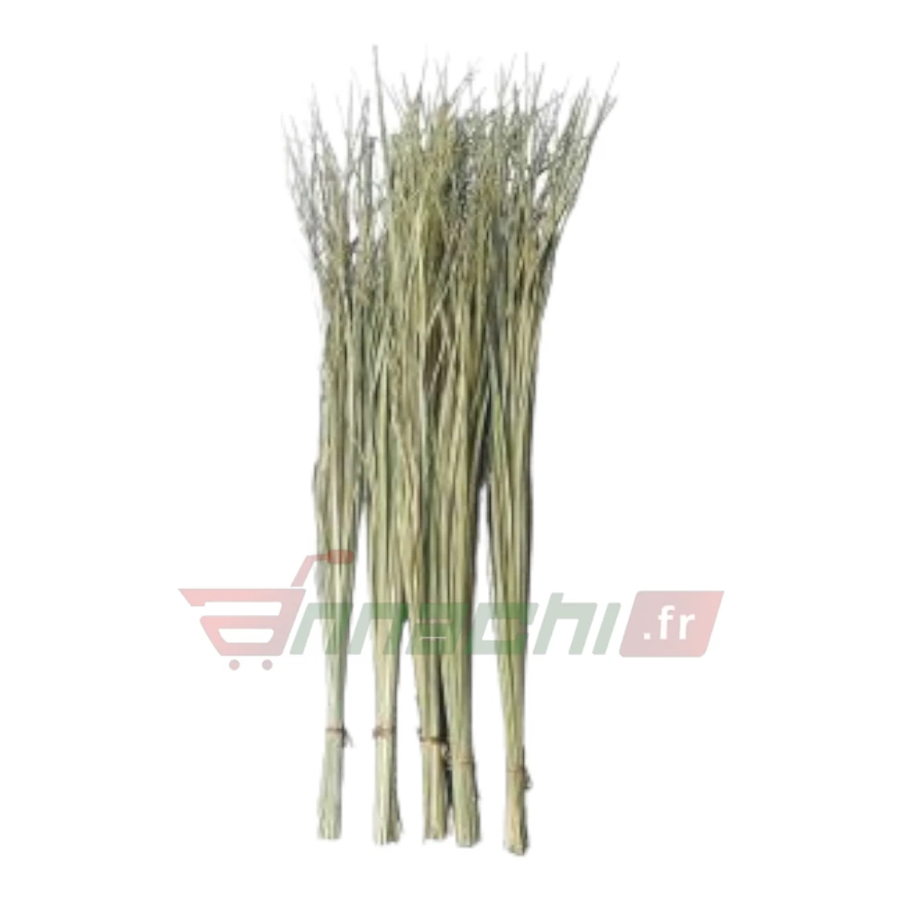 DARBHA GRASS (THARBAI PUL / KUSHA GRASS / DHARBHA GRASS / HALFA GRASS
