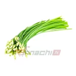 SPRING ONION FLOWER STIR FRY - (1 bunch ~ 200g)