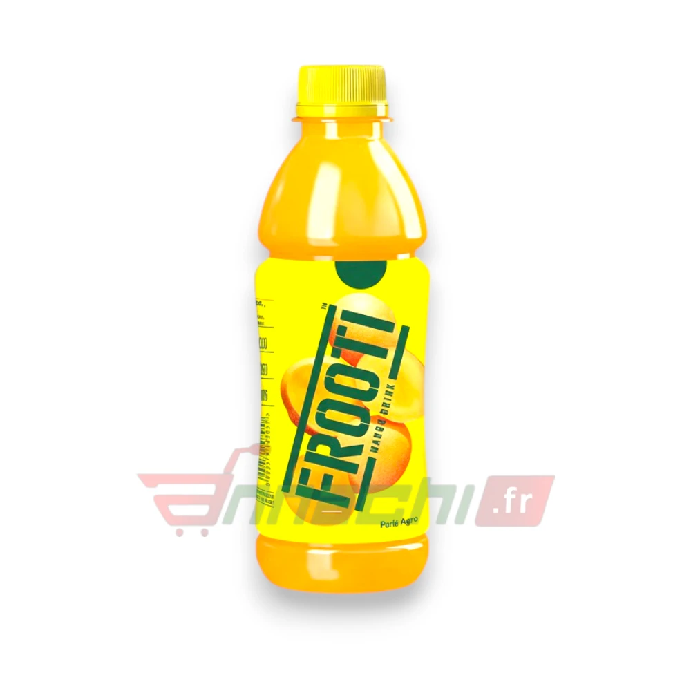 BUY FROOTI MANGO DRINK FRANCE EUROPE GERMANY BELGIUM AND NETHERLAND FROOTI MANGO DRINK – 300ml - Image 1