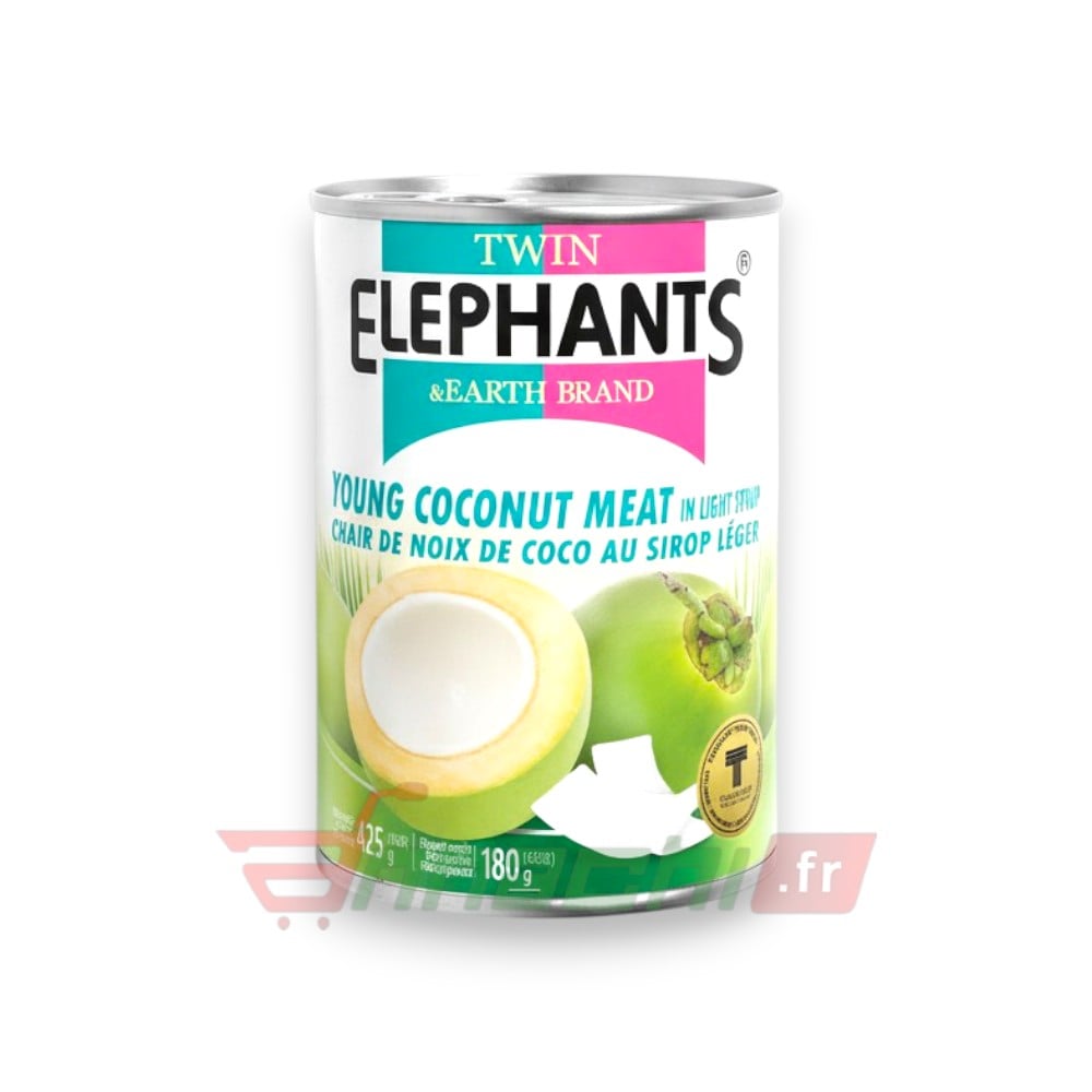 TWIN ELEPHANTS COCONUT FLESH IN SYRUP - 425g BY FRANCE EUROPE GERMANY BELGIUM AND NETHERLAND TWIN ELEPHANTS COCONUT FLESH IN SYRUP - 425g - Image 1